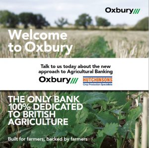 Oxbury Brochure